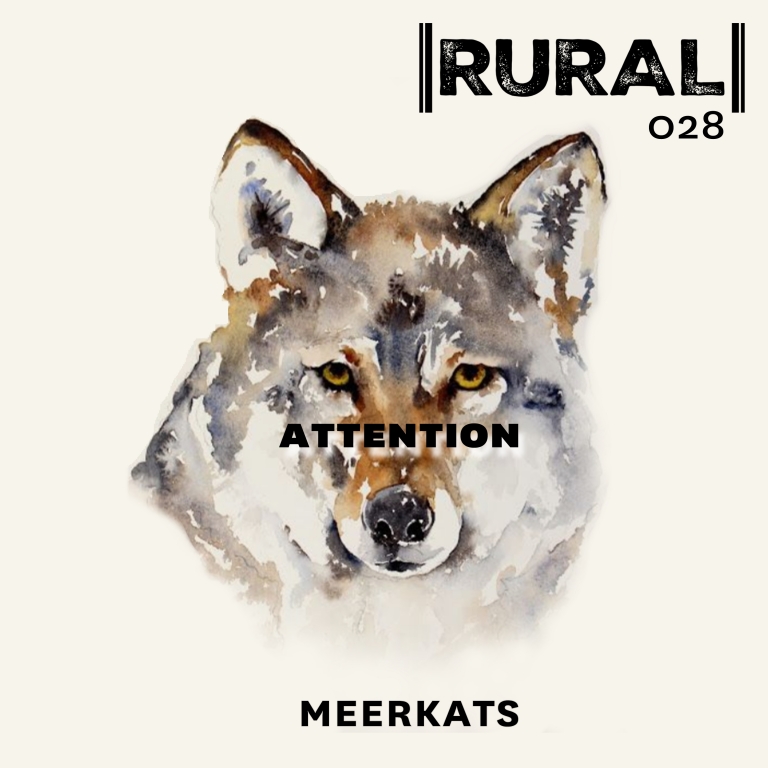 ATTENTION by MEERKATS
